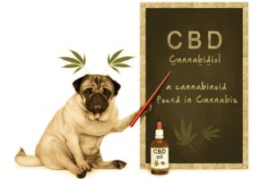 CBD for Dogs