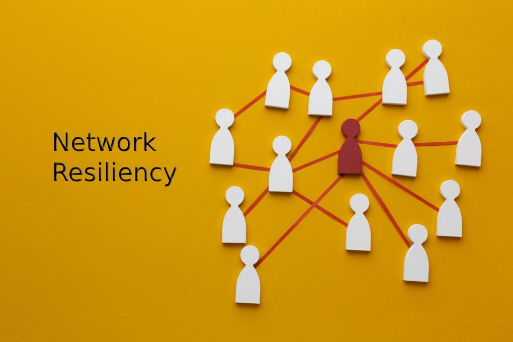 Network Resiliency