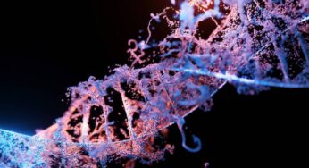 Understanding The Role Of NAD+ In The Body