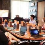 Pedrovazpaulo Business Consultant